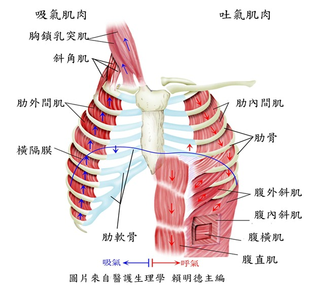 &#29699;&#36895;&#20307;&#32946;&#24179;&#21488;&#45;&#29699;&#36895;&#65288;&#20013;&#22269;&#65289;
